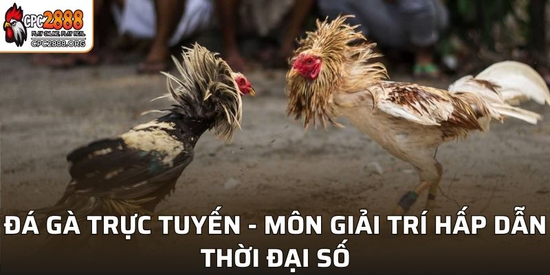 Đá Gà Trực Tuyến