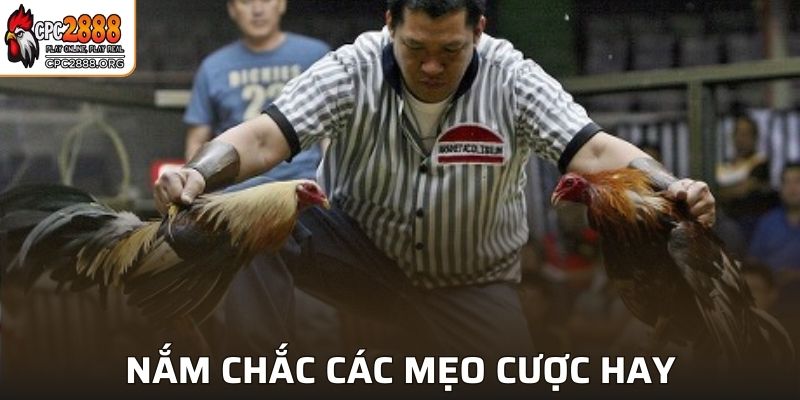 Nắm chắc các mẹo cược hay để tăng cơ hội thắng