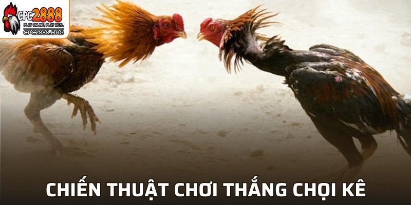Những chiến thuật hiệu quả được bật mí từ các chuyên gia