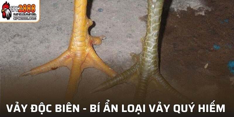 Vảy Độc Biên