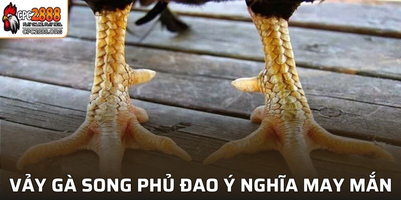 Vảy gà song phủ đao sở hữu nhiều ý nghĩa may mắn