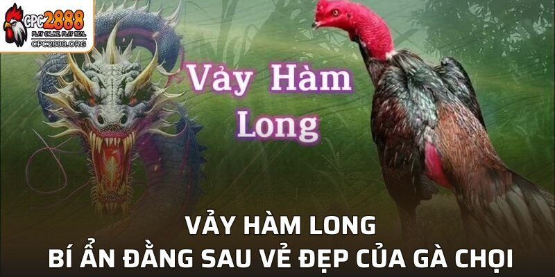 Vảy Hàm Long